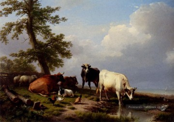  bétail - Animaux broutant près de la mer Eugène Verboeckhoven bovins